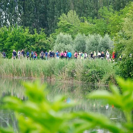 Oda ve Kahvaltı Laguna Quarto dʼAltino