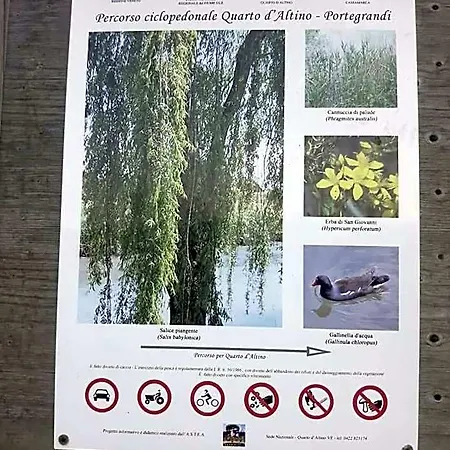 Laguna 3*