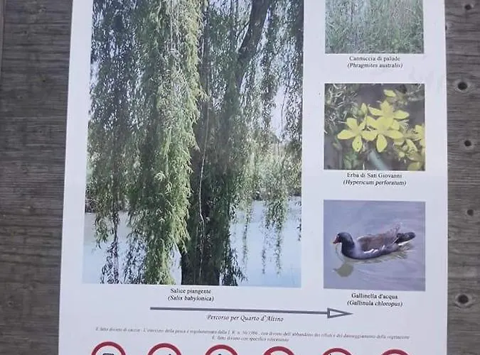 Laguna Отель типа 